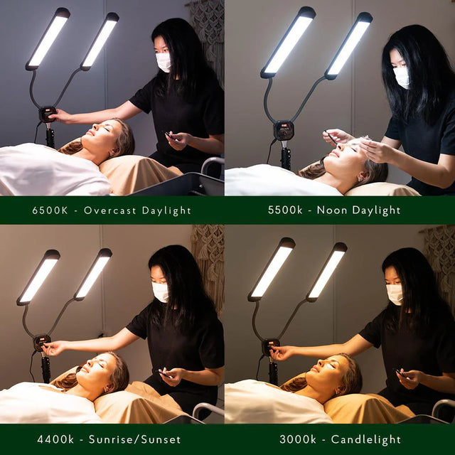 Allurelite Pro Beauty Portable Double LED Lighting Kit