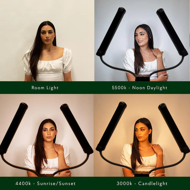 Allurelite Pro Beauty Portable Double LED Lighting Kit