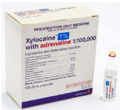 1% Xylocaine/with Adrenaline 1:100,000  - 5ml Box of 10
