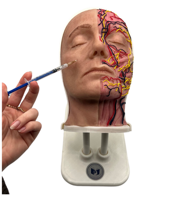 Half Female Head Aesthetic Training Model - Tilt Base