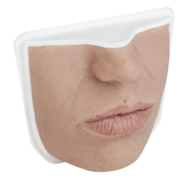 Lips - Aesthetic Training Model