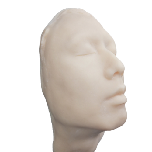 Silicon Head Model - Cosmetic Injectable Training Model