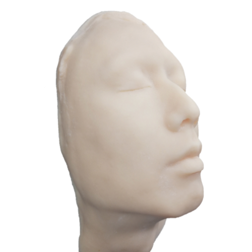 Silicon Head Model - Cosmetic Injectable Training Model