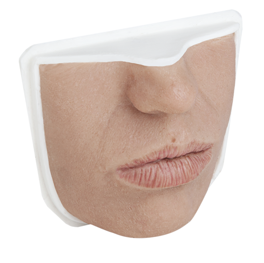 Lips  - Aesthetic Training Model